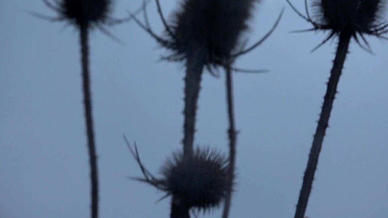 Galeriebild des Projekts Kassieren