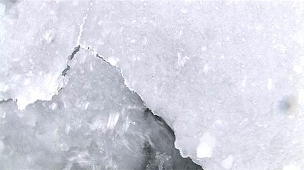 Galeriebild des Projekts The White Tape 