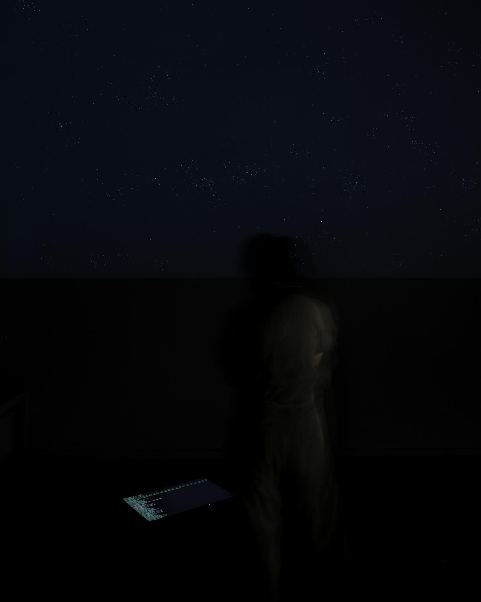 Galeriebild des Projekts Live Stock / Live Animals