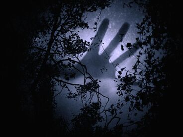 Galeriebild des Projekts Das Außen, die Nacht