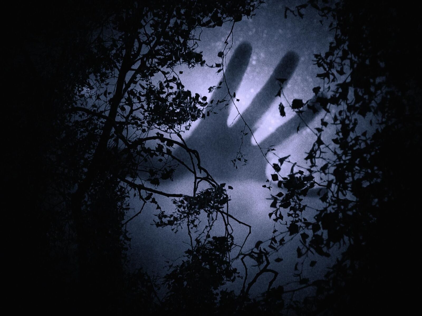 Galeriebild des Projekts Das Außen, die Nacht