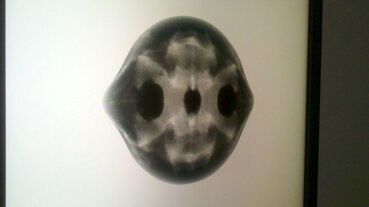 Symmetrisches Wesen (einer Punktwolke) Galeriebild des Projekts Symmetrisches Wesen (einer Punktwolke)
