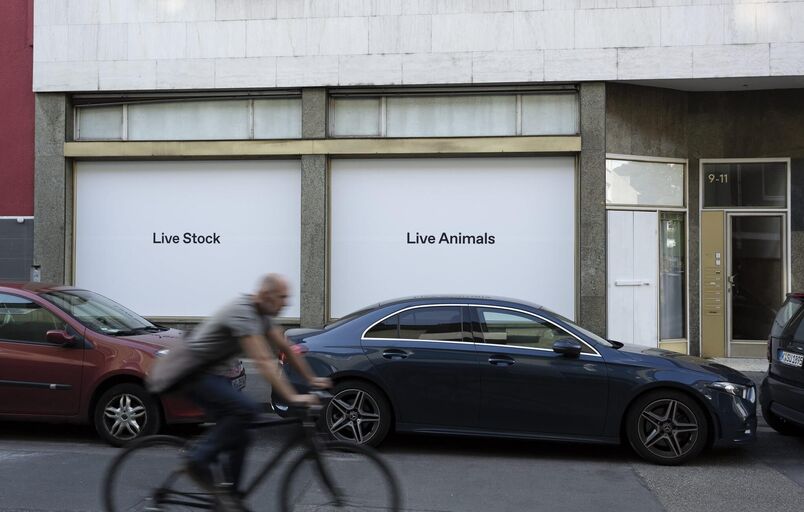 Titelbild des Projekts Live Stock / Live Animals