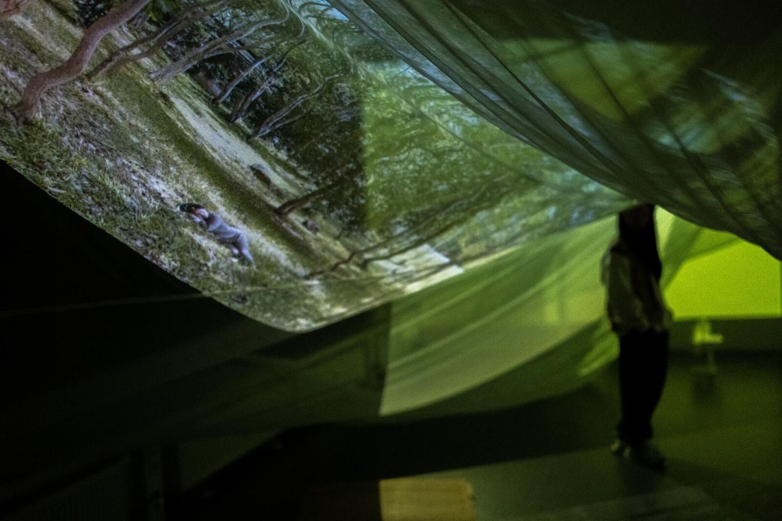 Titelbild des Projekts Crimson Sap Flowing Through My Veins