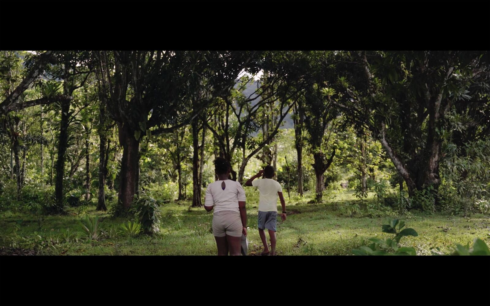 Galeriebild des Projekts EL SUEÑO (Director´s Cut)