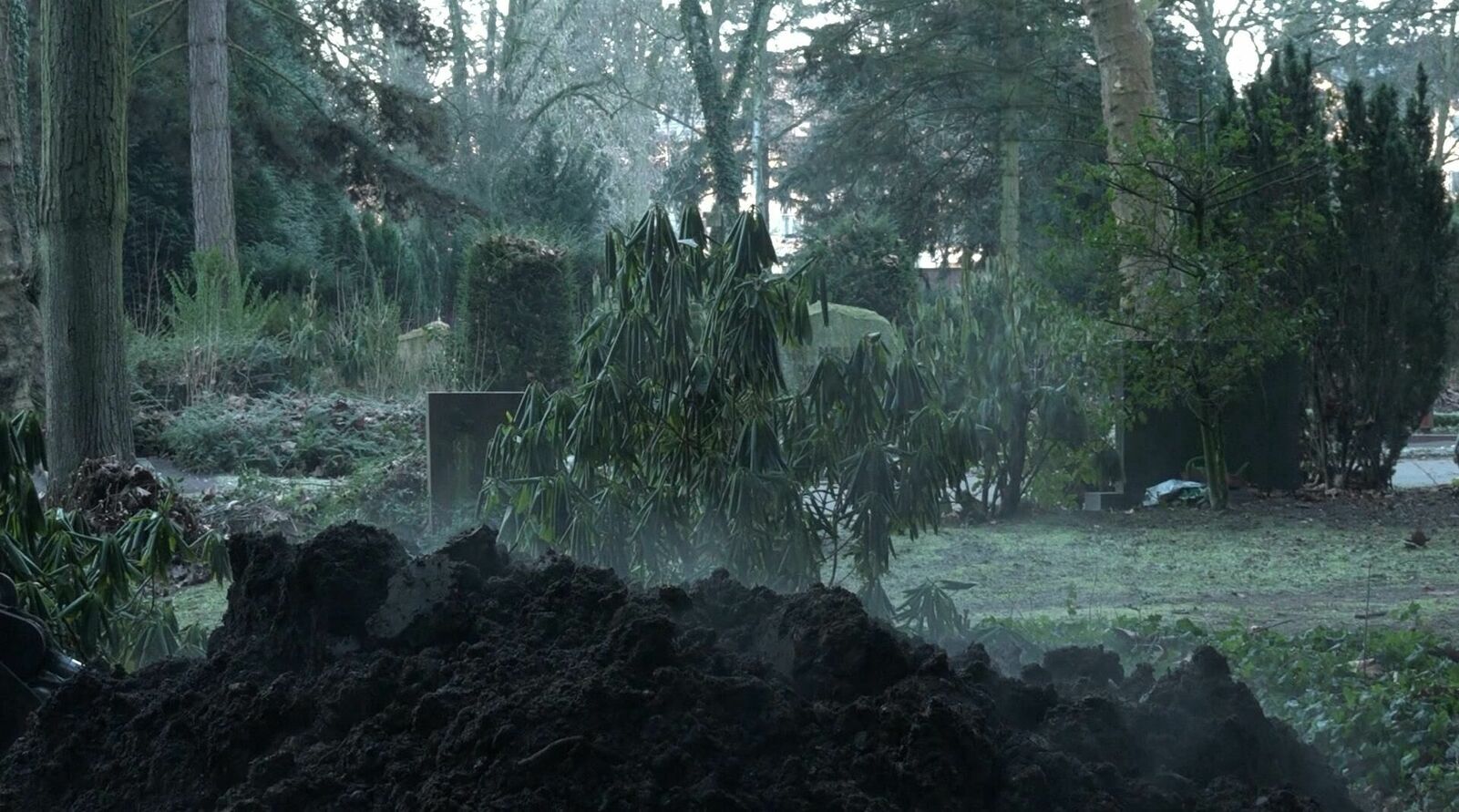 Galeriebild des Projekts Morgens halb neun in Köln-Mülheim