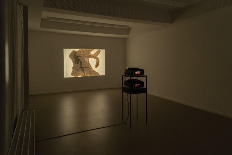Titelbild des Projekts Swamp optical trance