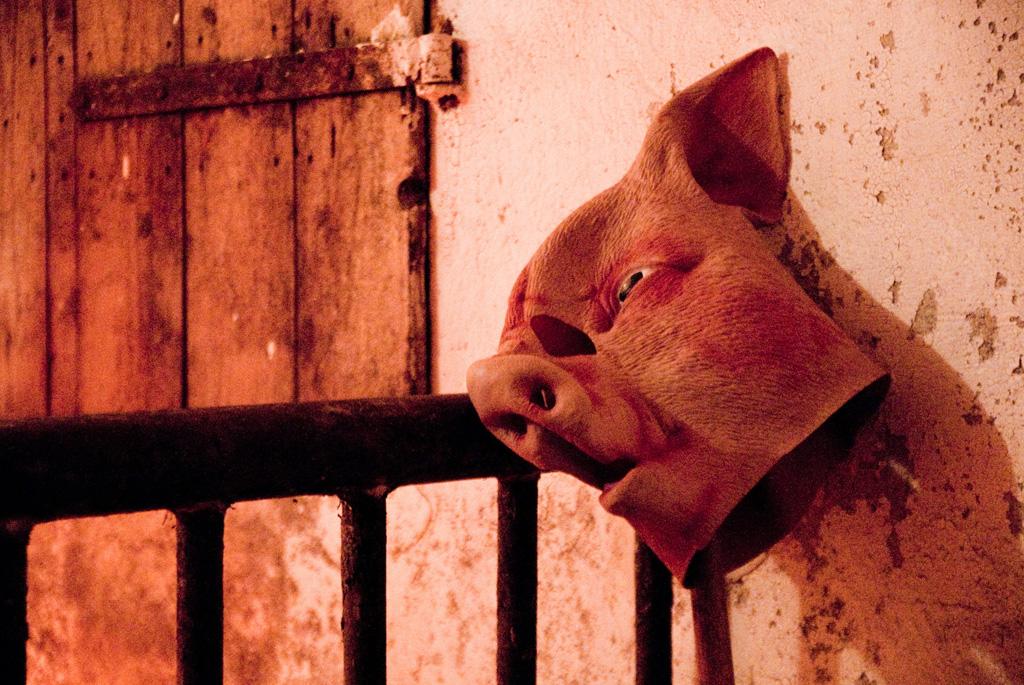 Titelbild des Projekts Sch(w)einschlachtung - 250 Euro