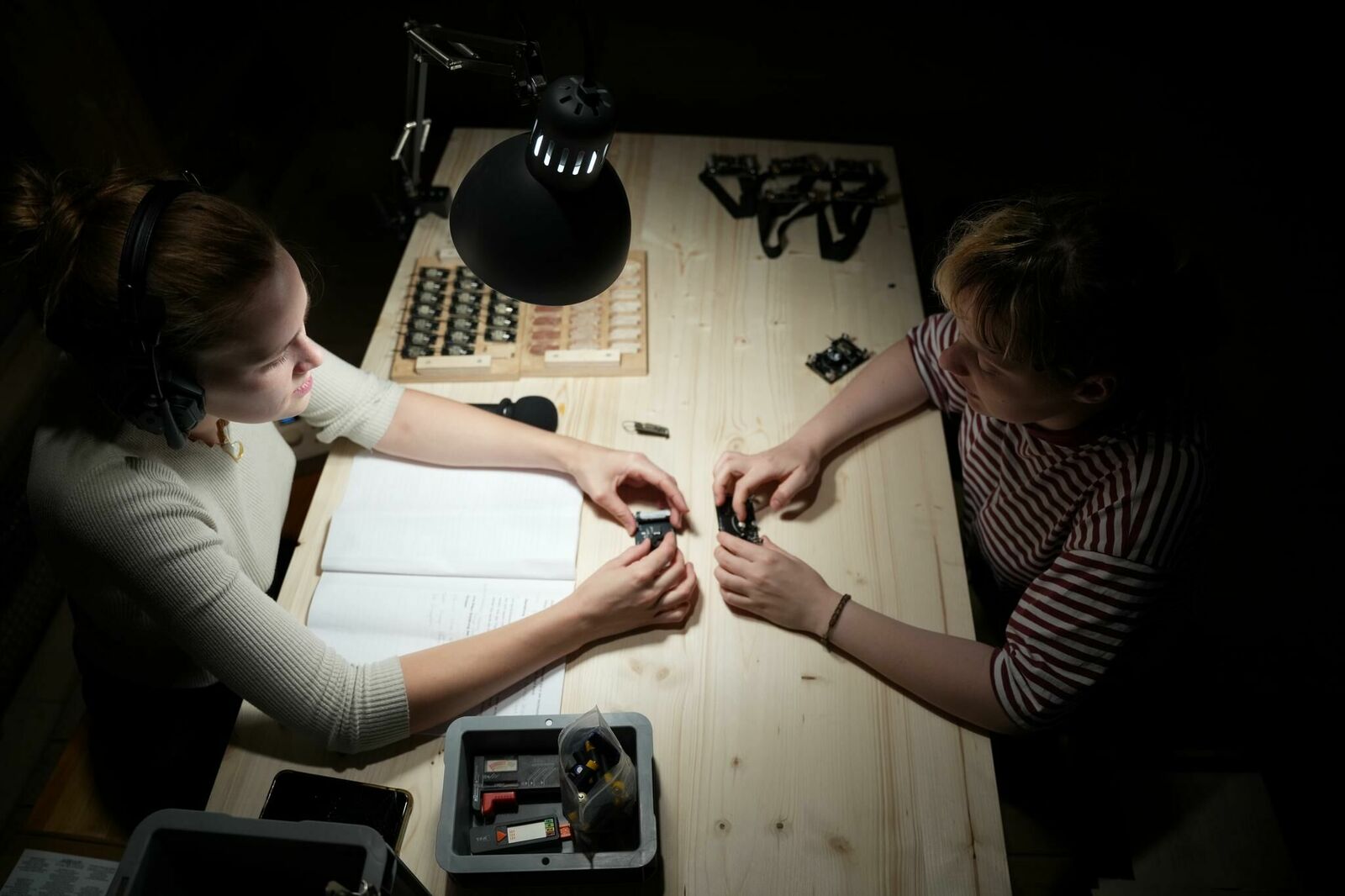 Galeriebild des Projekts The Art of Becoming a Cyborg