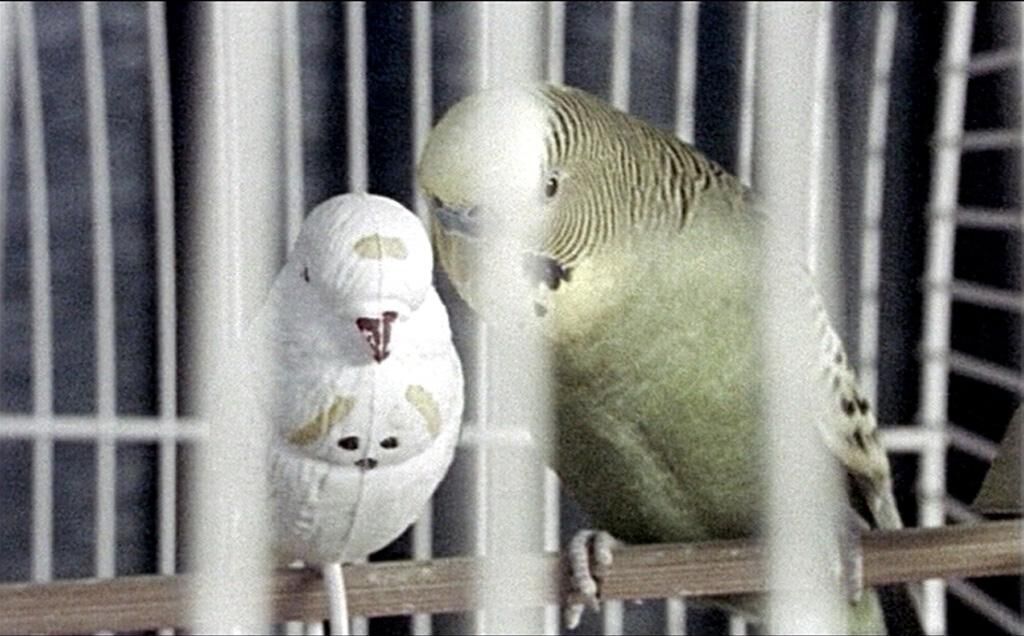 Galeriebild des Projekts Du und ich, wir könnten einander gehören 