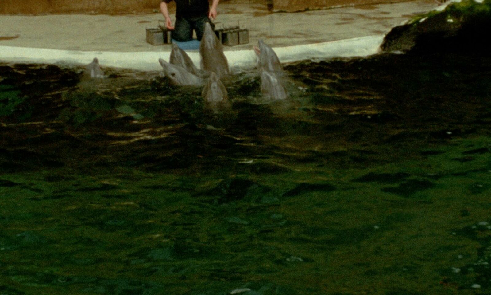 Galeriebild des Projekts The Fading Sound of Waves