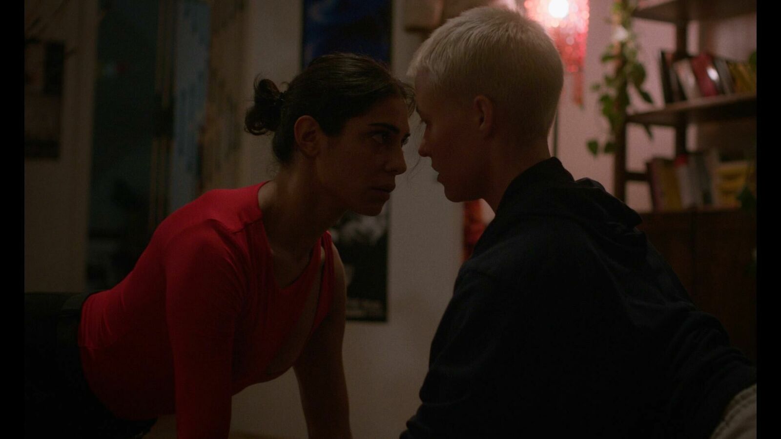 Galeriebild des Projekts Katzenbellen