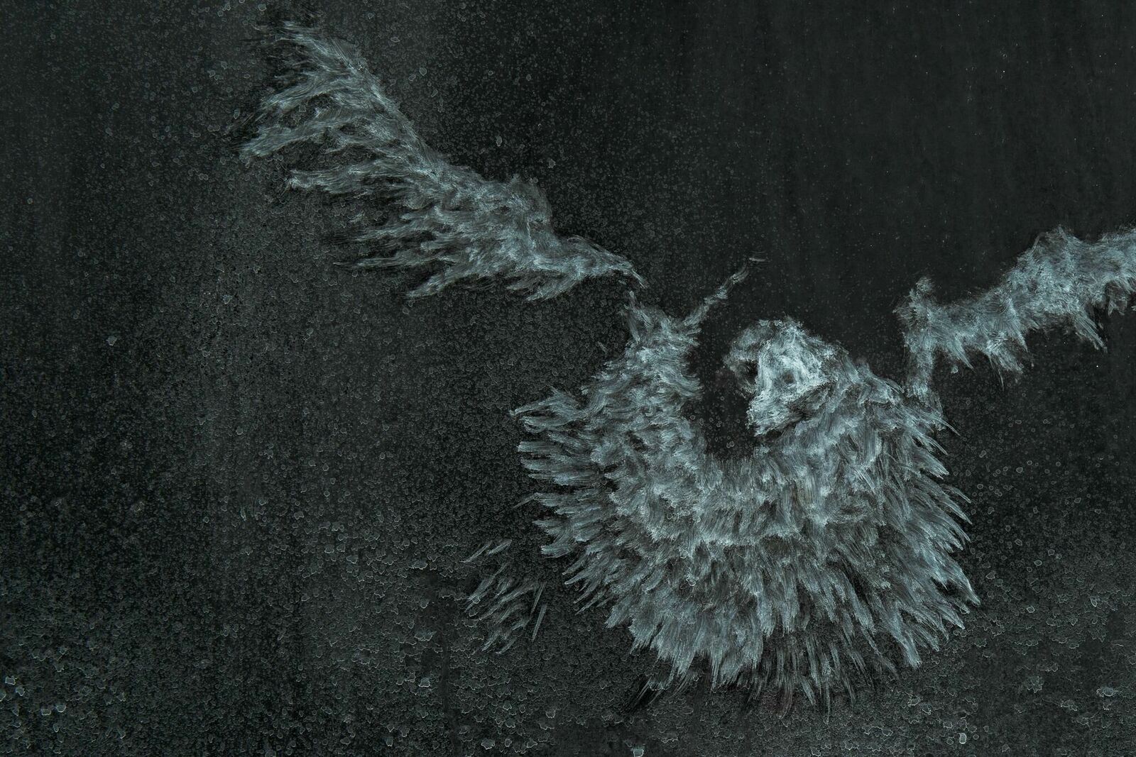 Galeriebild des Projekts HIDING IN PLAIN SIGHT