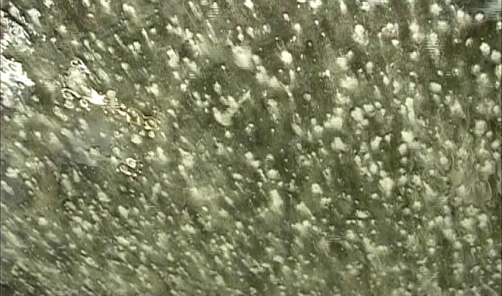 Galeriebild des Projekts Car Wash