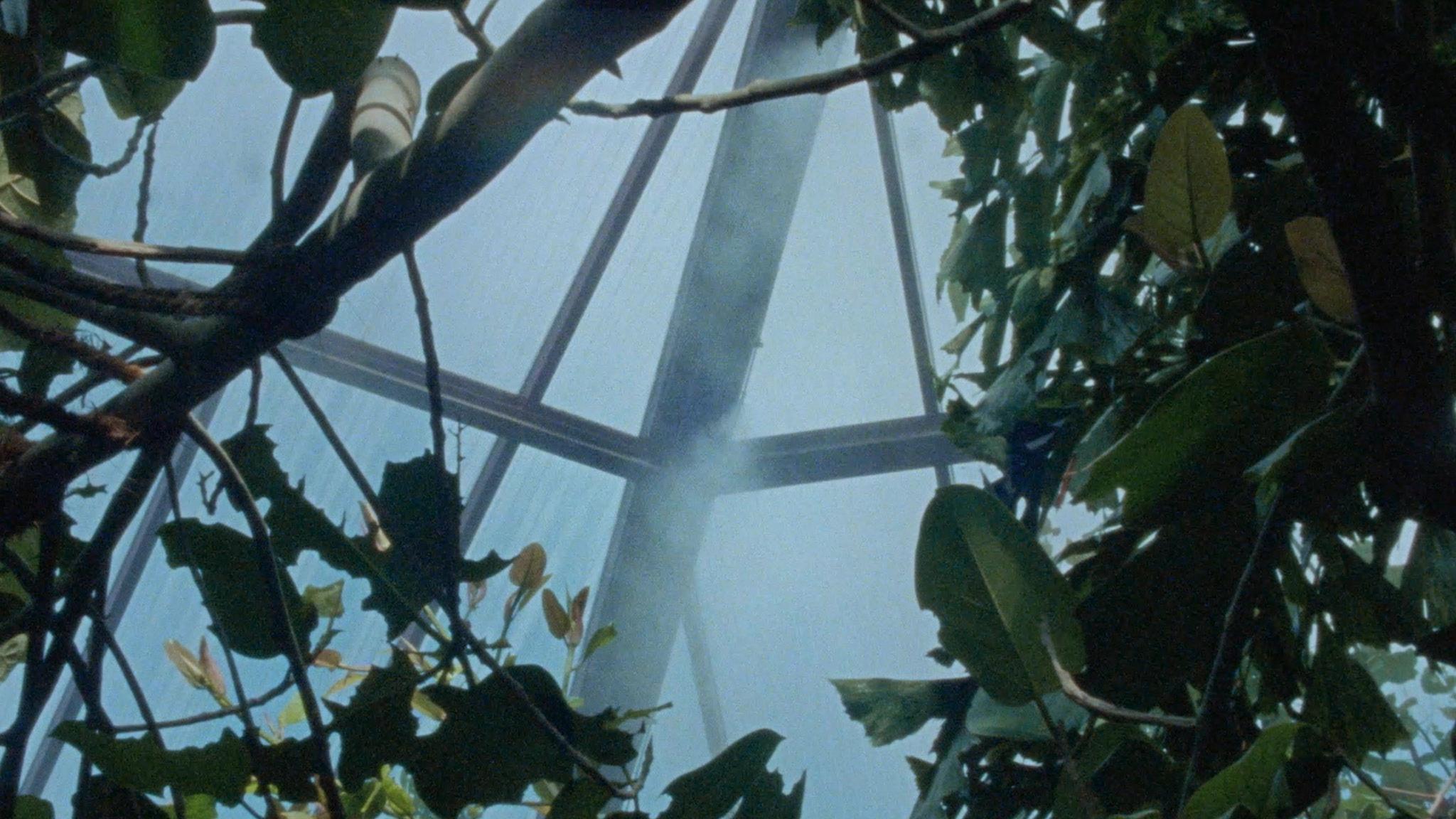 Galeriebild des Projekts Nido de Cocodrilo