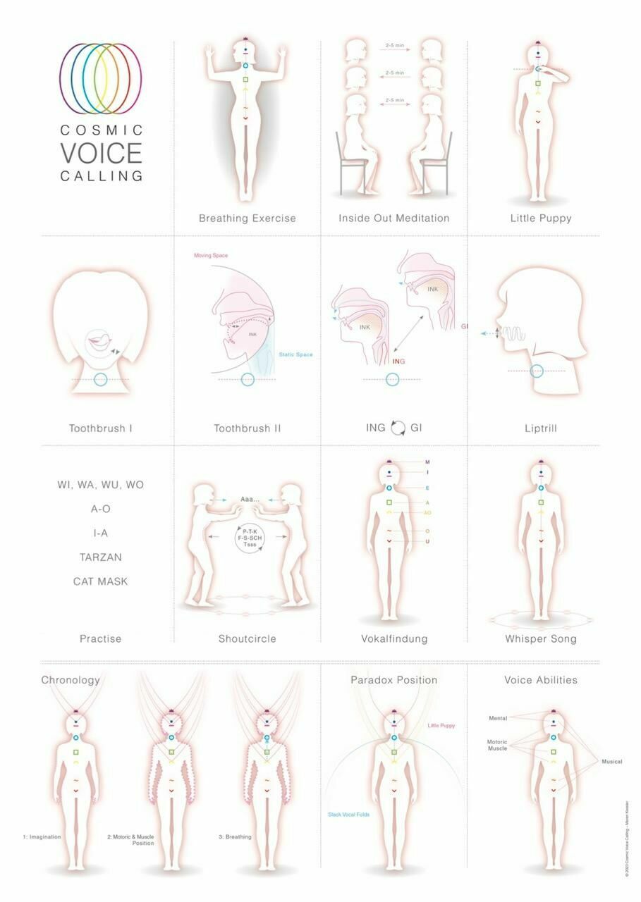 Titelbild des Projekts Cosmic Voice Calling