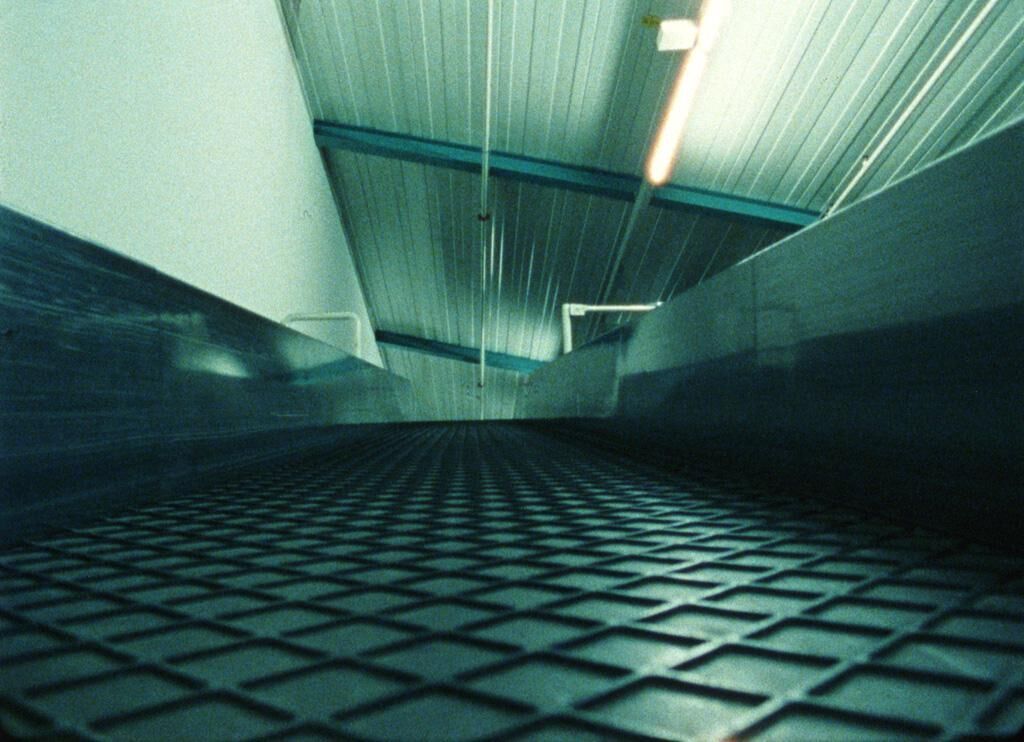 Galeriebild des Projekts grounded.