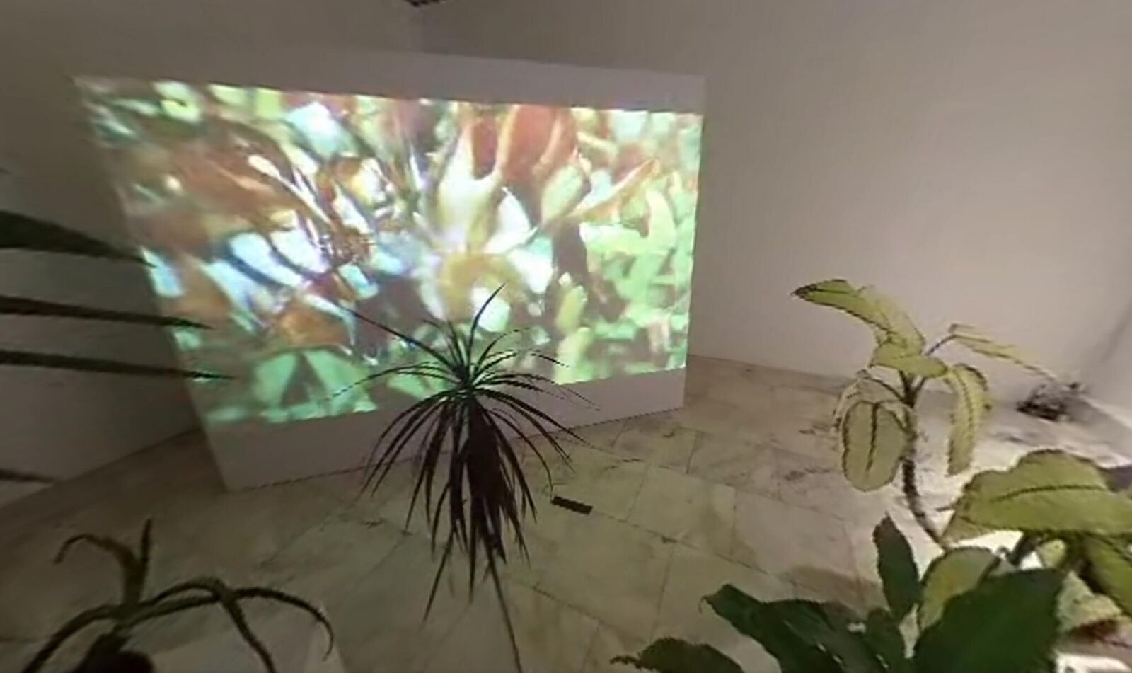 Galeriebild des Projekts Svan/Nectar