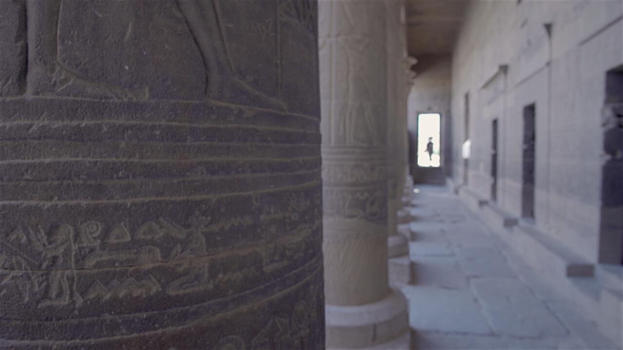 Titelbild des Projekts „I am not. I b e „