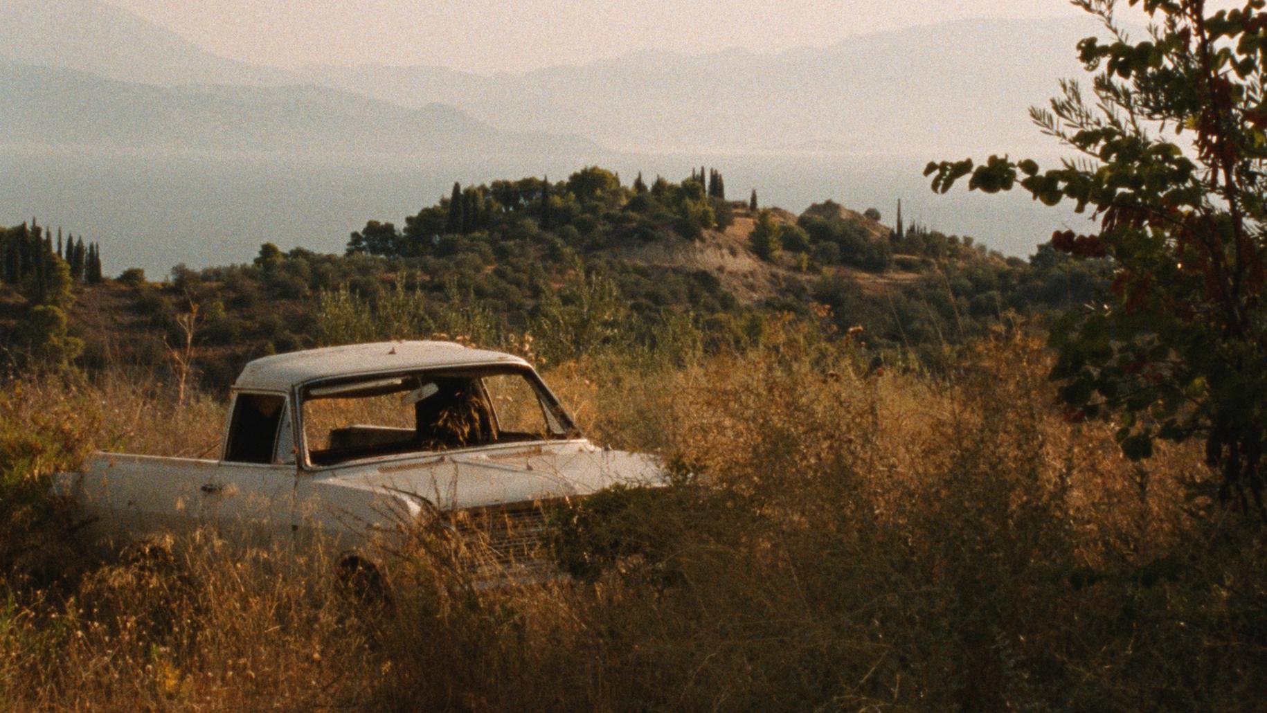 Titelbild des Projekts Fasolákia 