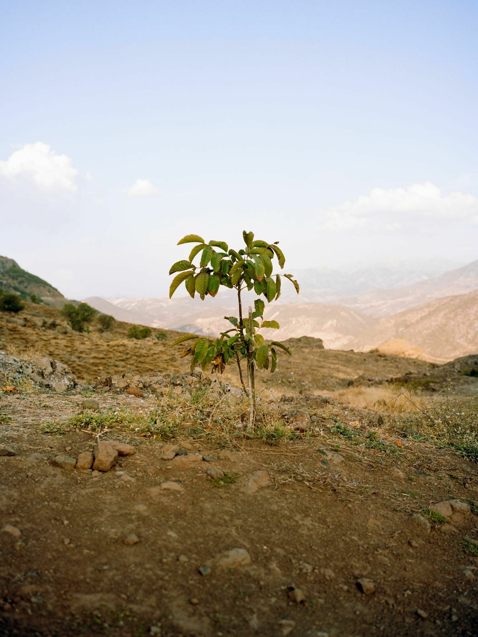 Galeriebild des Projekts You don't look nothing alike