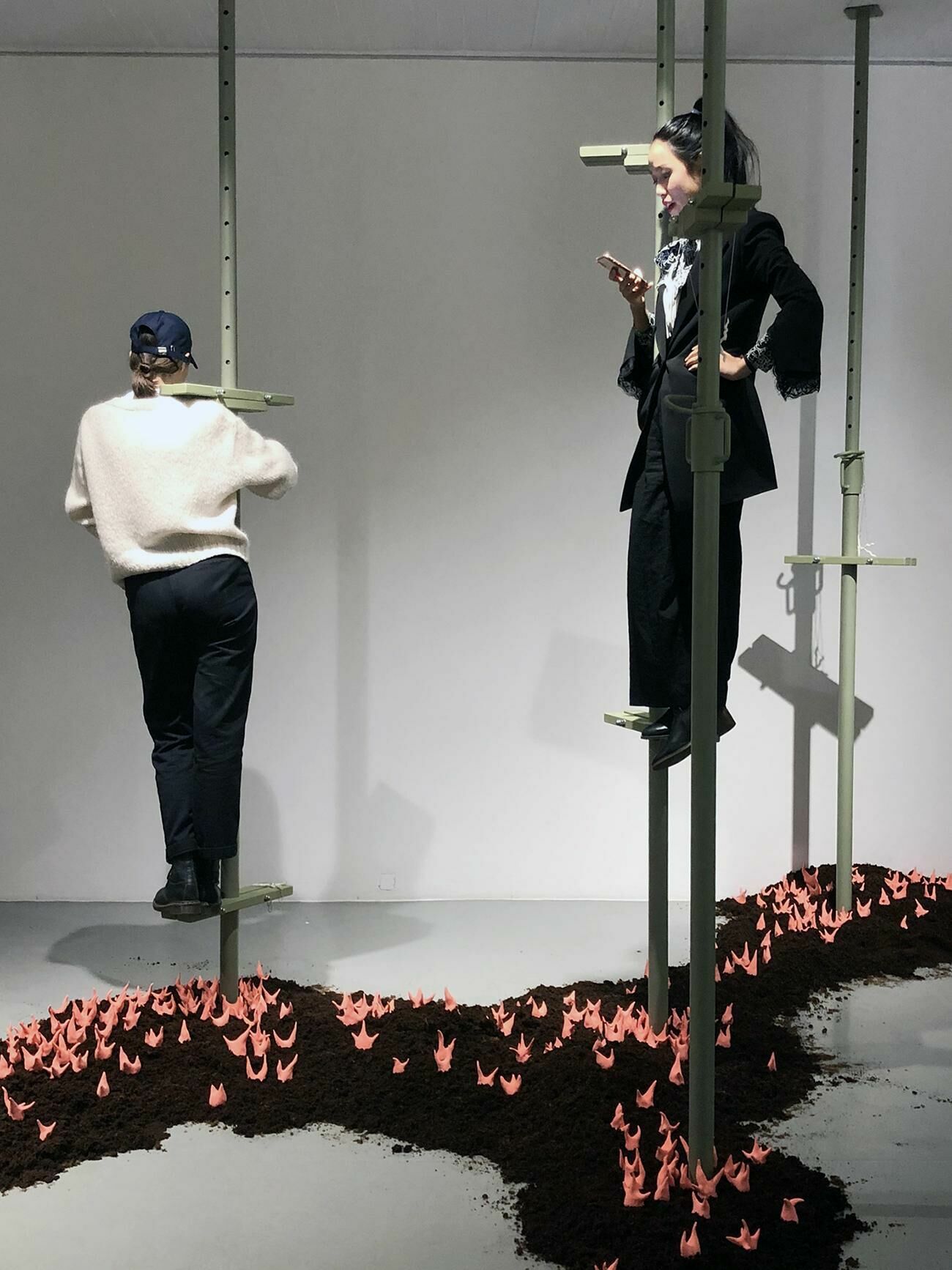 Galeriebild des Projekts Walter Palmer Shot A Lion: The Sequel