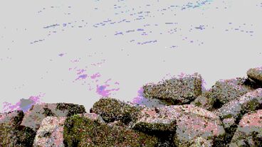 Alter Ego Galeriebild des Projekts Alter Ego
