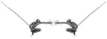 OBSTRUCTIONS Titelbild des Projekts OBSTRUCTIONS