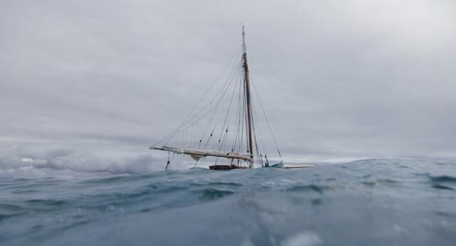 Titelbild des Projekts Le Métèque