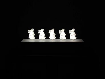 Galeriebild des Projekts The Case of Dataworm