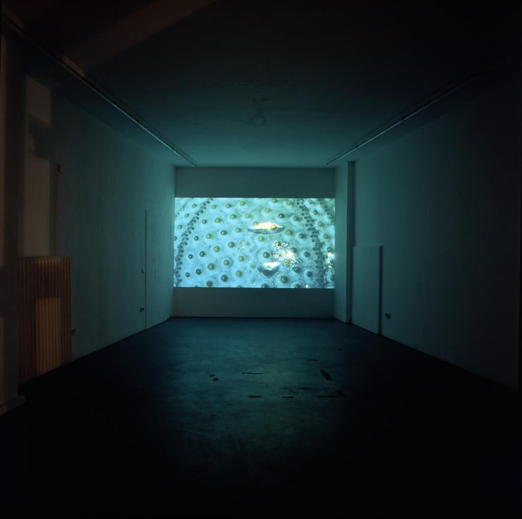 Galeriebild des Projekts Abyssos 