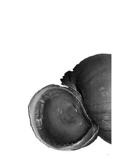 FALSE SPRING Galeriebild des Projekts FALSE SPRING