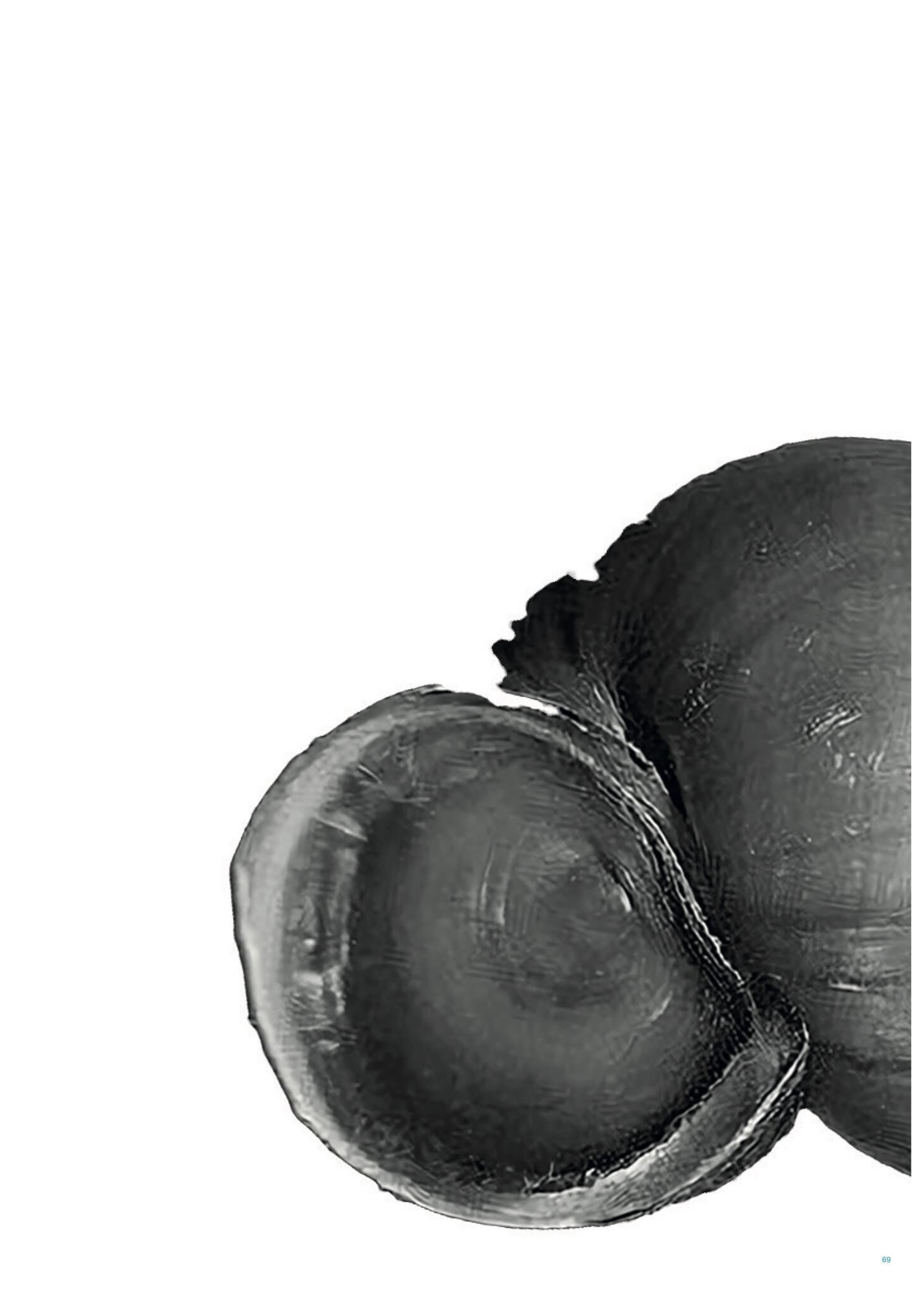 Galeriebild des Projekts FALSE SPRING