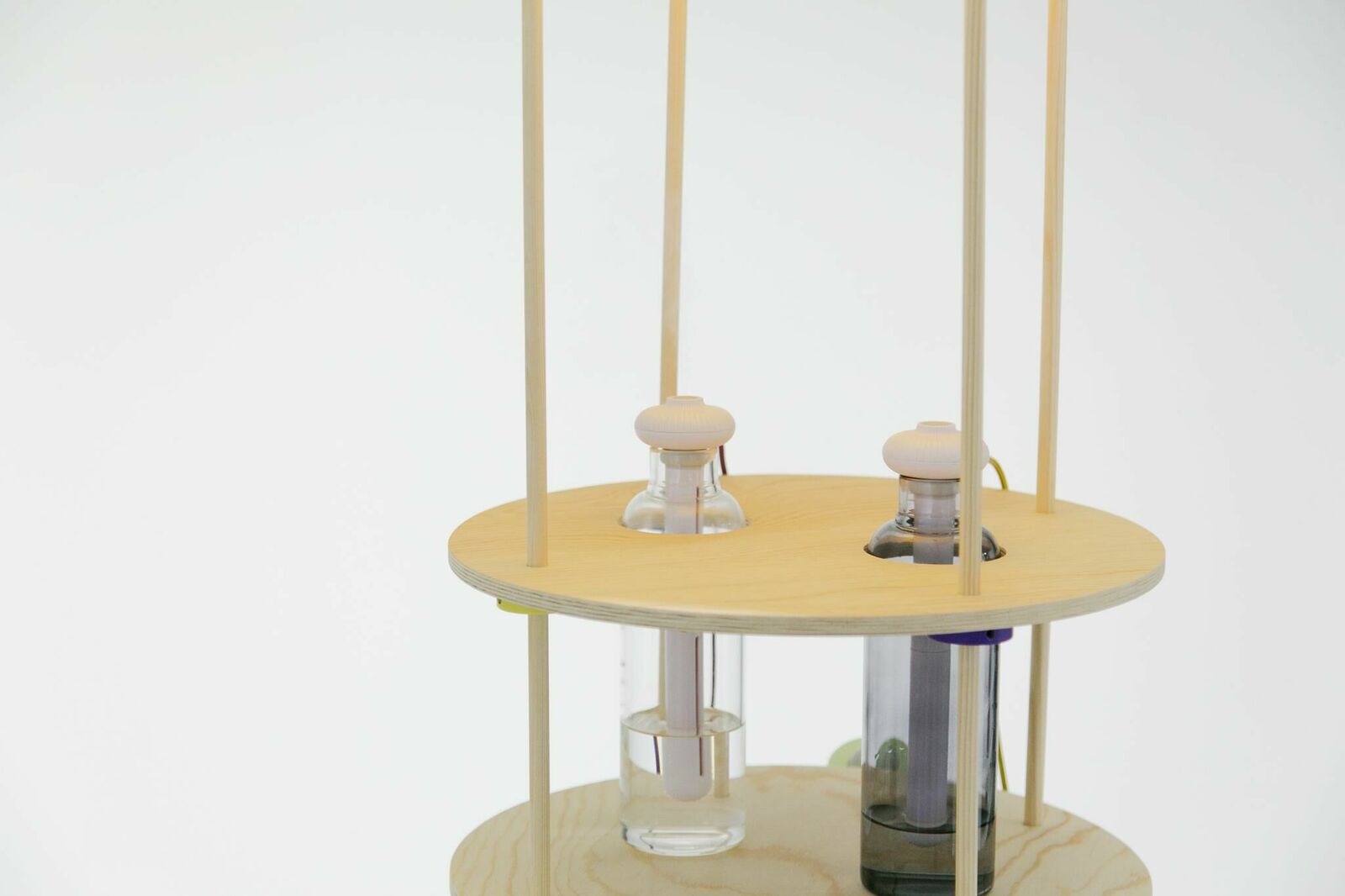 Galeriebild des Projekts You bug me and I bug you