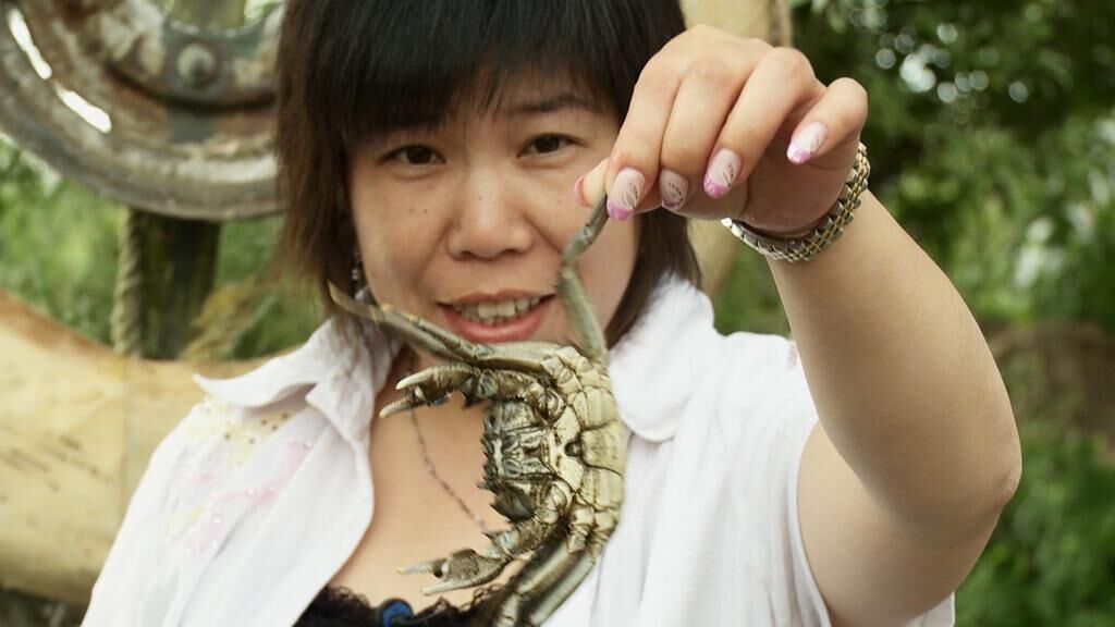 Galeriebild des Projekts Shanghai-Crab