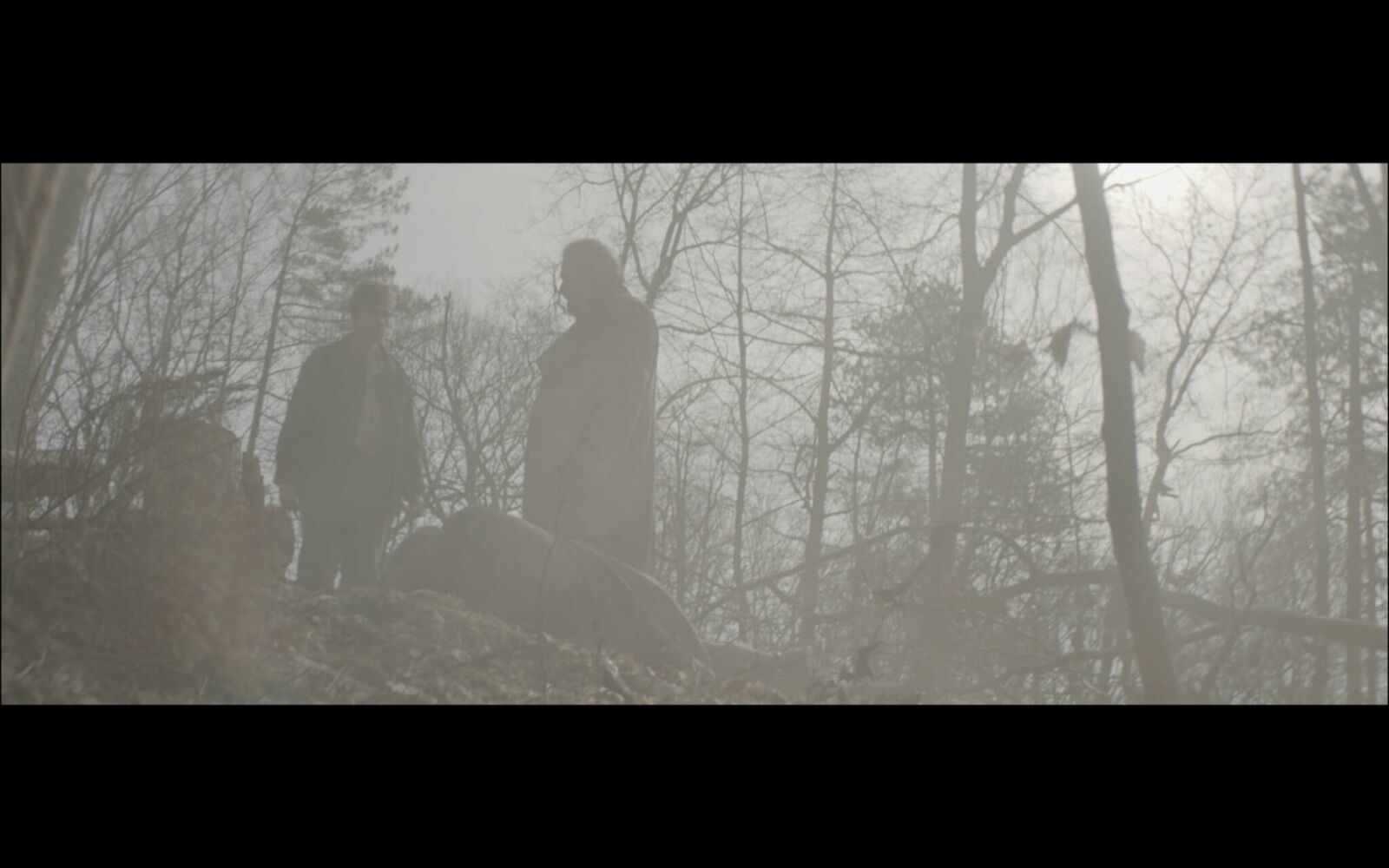 Galeriebild des Projekts Seven Days Until The Sea