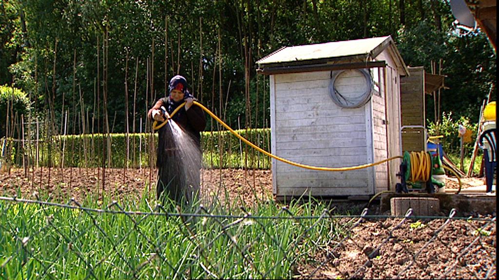 Titelbild des Projekts Ali sein Garten