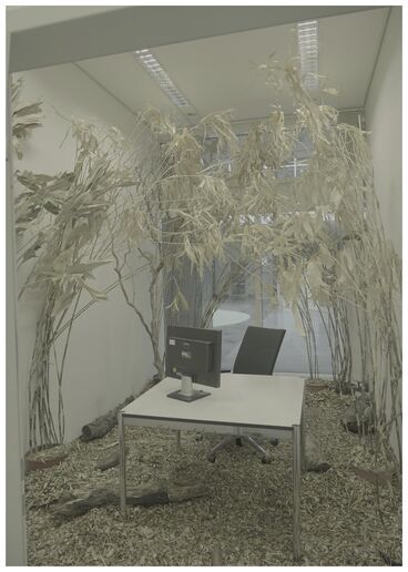FALSE SPRING Galeriebild des Projekts FALSE SPRING