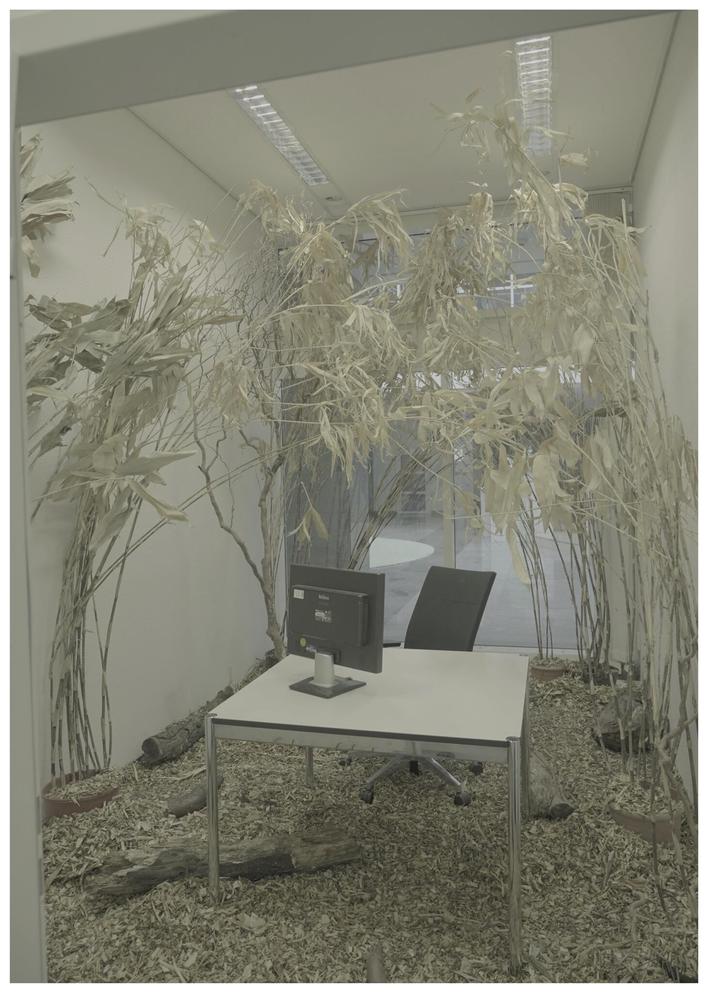 Galeriebild des Projekts FALSE SPRING