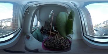 Never home alone Galeriebild des Projekts Never home alone