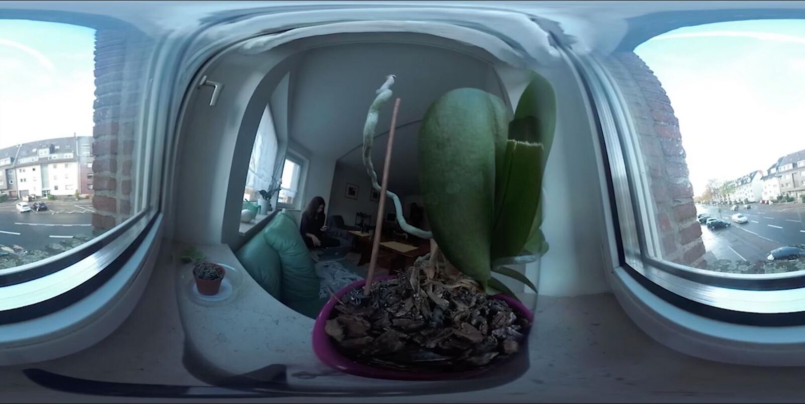 Galeriebild des Projekts Never home alone