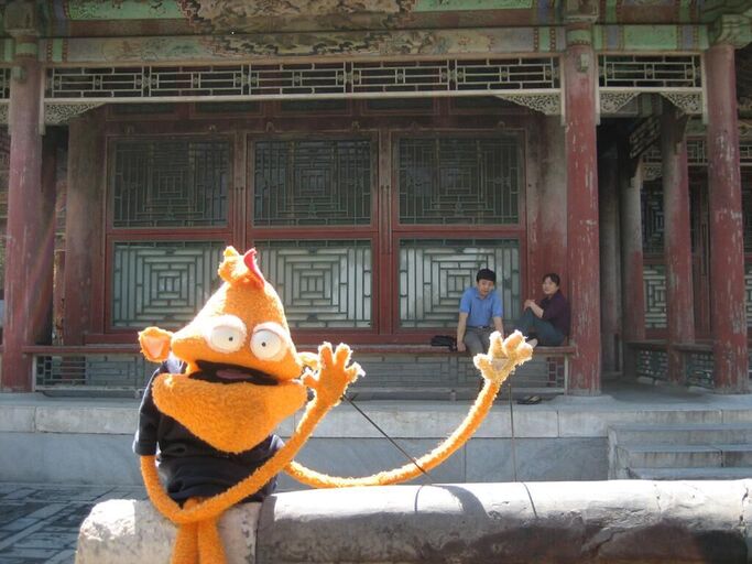 Titelbild des Projekts Dizzy D in Beijing