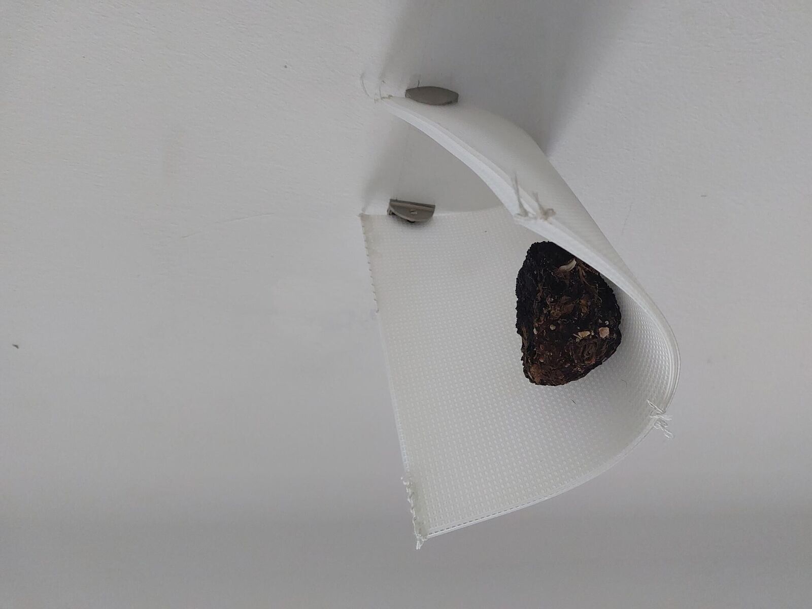 Galeriebild des Projekts free immersion notes