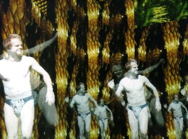 Das Gehirn Galeriebild des Projekts Das Gehirn