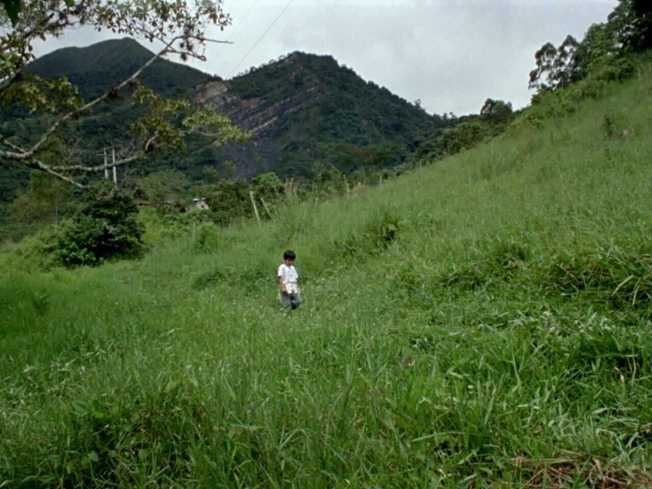 Galeriebild des Projekts Parientes del Valle Luminoso