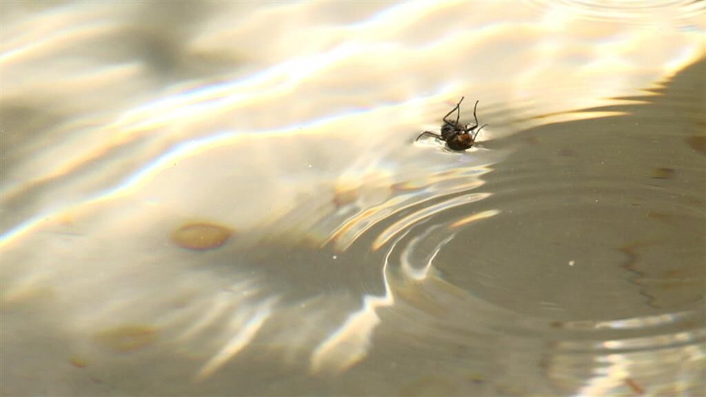 Galeriebild des Projekts Palomafuente 