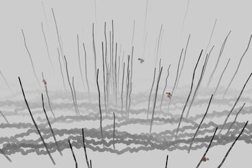 Galeriebild des Projekts The Invisible Warbler