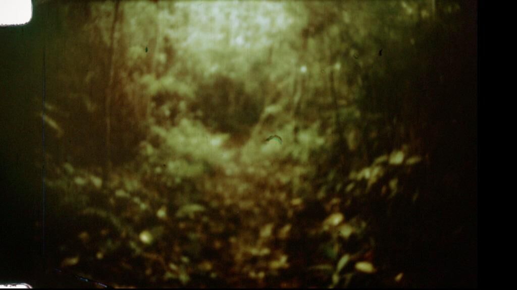 Galeriebild des Projekts Travelling Cinema Kolumbien