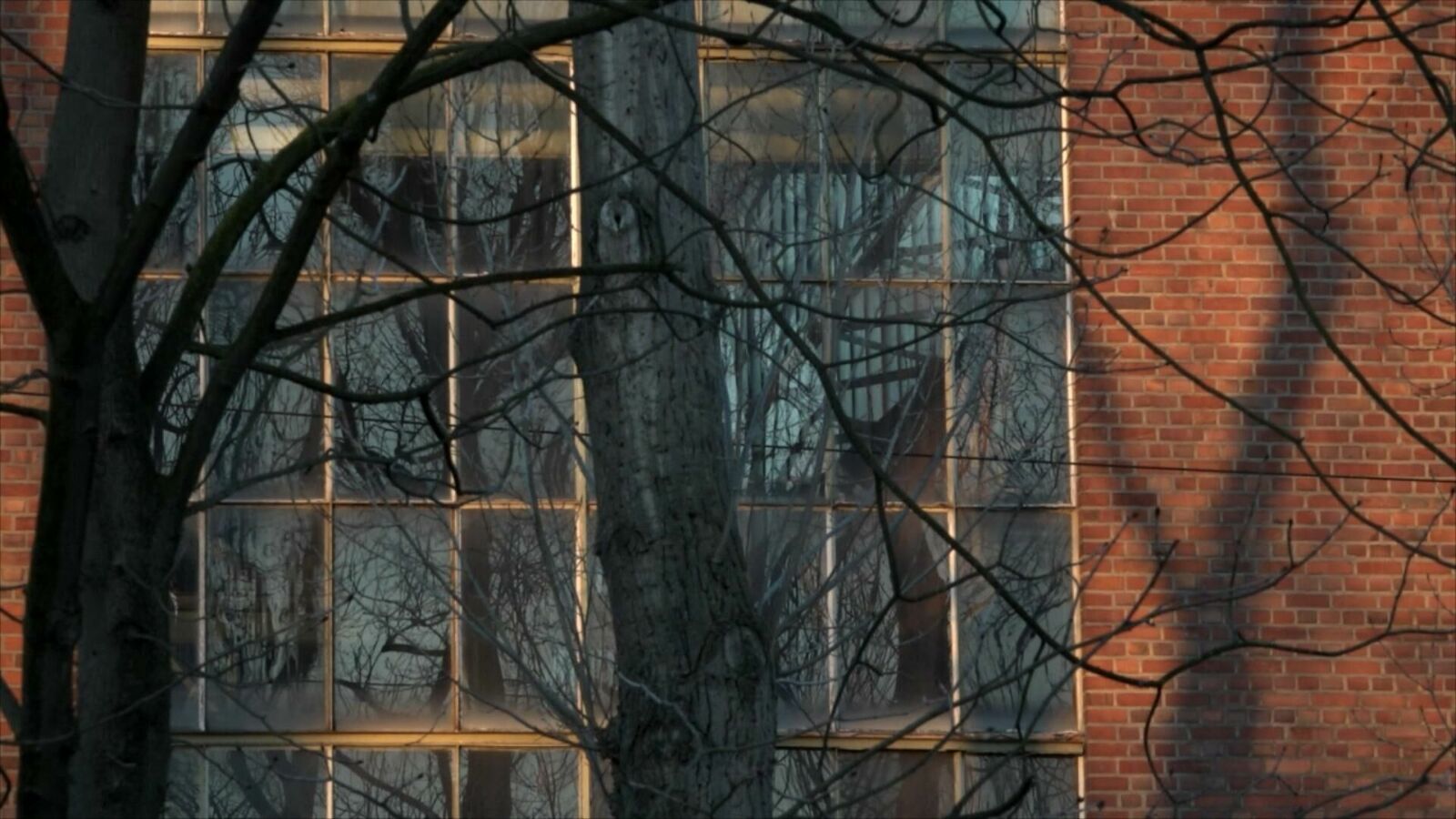 Titelbild des Projekts Dirt