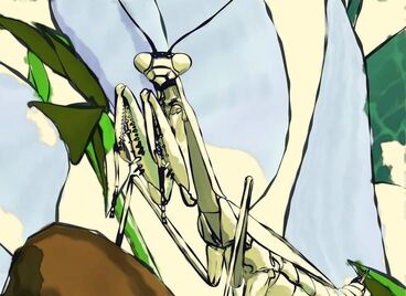 Mantis Galeriebild des Projekts Mantis